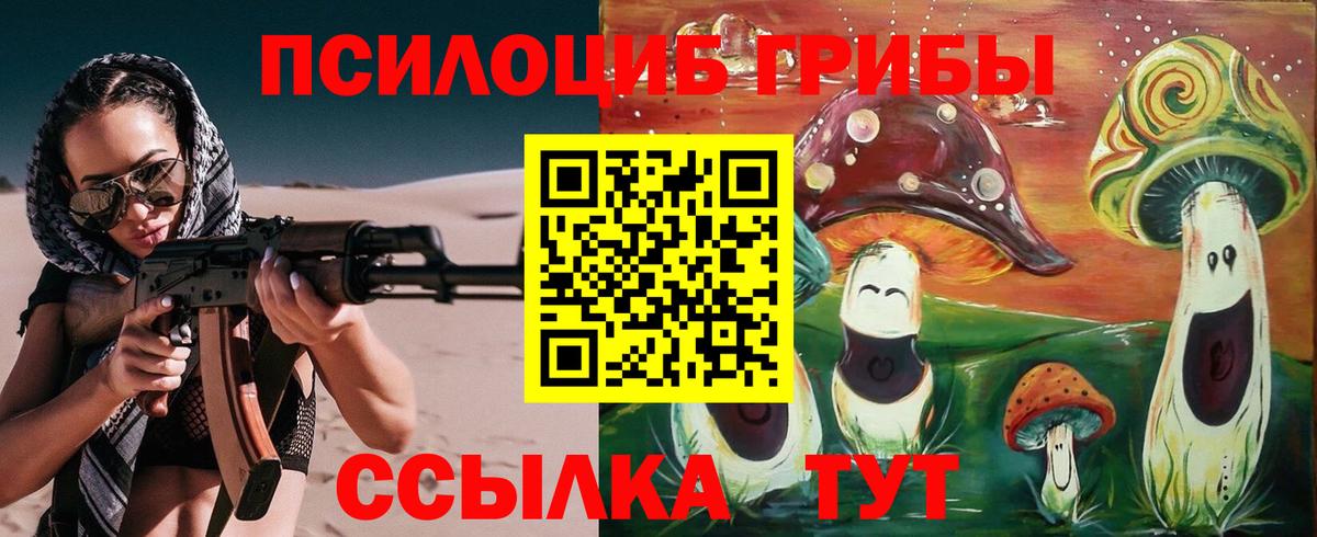Галлюциногенные грибы Cubensis  Вход с VPN  Зеленогорск 