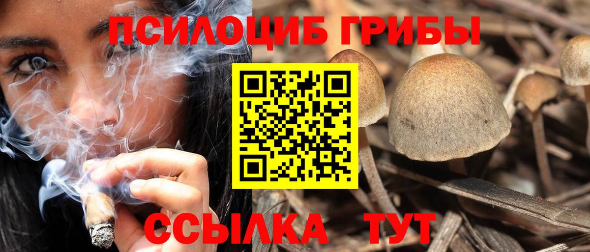 Галлюциногенные грибы ЛСД Зеленогорск