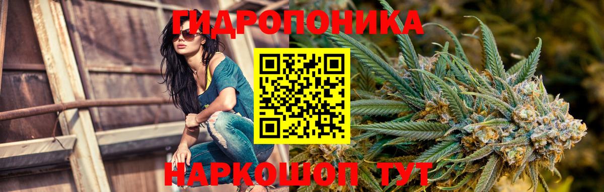 Шишки марихуана план Зеленогорск